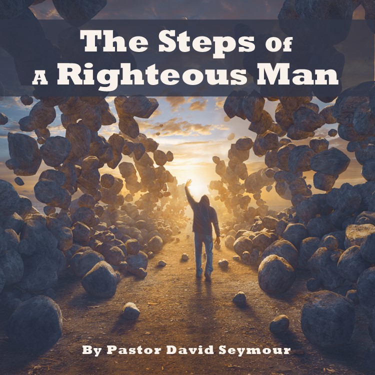 the-steps-of-a-righteous-man-series